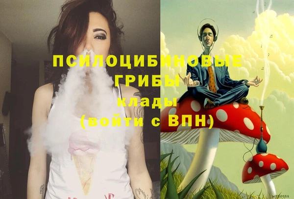 каннабис Аркадак