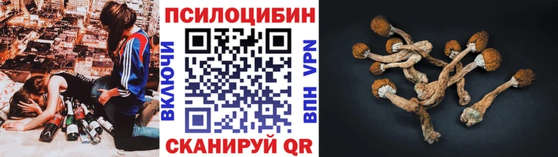 Галлюциногенные грибы ЛСД Тайга