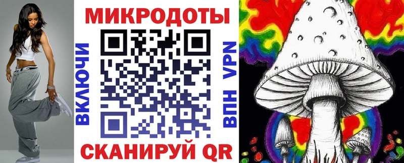 закладки  Тайга  Галлюциногенные грибы прущие грибы 